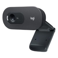 Logitech C505 - Webcam - color