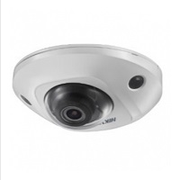 Hikvision EasyIP 2.0plus DS-2CD2543G0-IWS - Network surveillance camera - dome