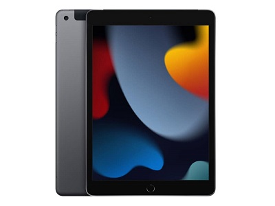 APPLE IPAD 9E Gén. 64 Go, Wi-Fi, 10,2 - Gris sidéral EUR 30,00