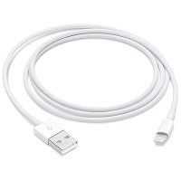 Apple - Lightning cable - Lightning male to USB male