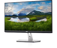 Dell S2421HN - LED monitor - 23.8"