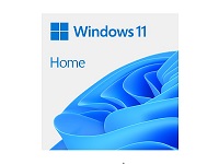 Microsoft licencia OEM windows 11 Home 64 bits
