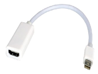 Xtech - DisplayPort adapter - 19 pin HDMI Type A