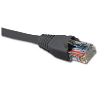 Cable Ethernet (Network) 50ft.